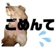 535030240