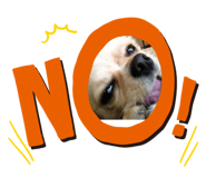 535030243