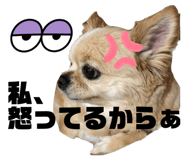 535030253
