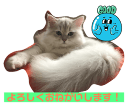 535089908
