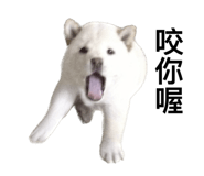 535159661