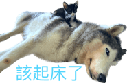 535169569