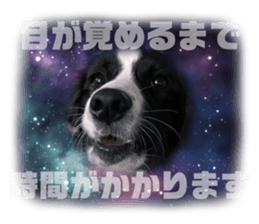 535230316