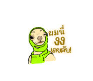 535250213