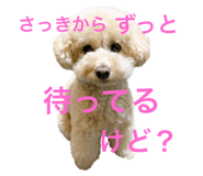 535259319