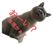 535259322