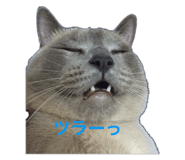 535259323