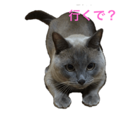 535259324
