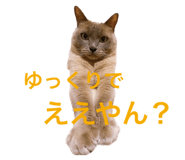 535259328