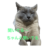 535259331