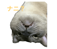 535259332