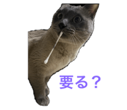 535259334