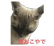 535259338