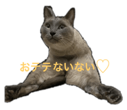 535259339