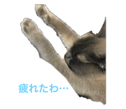 535259340