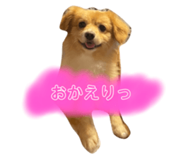 535260200