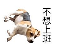 535271954