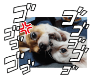 535273935