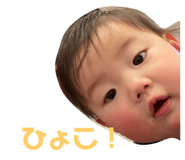 535347330