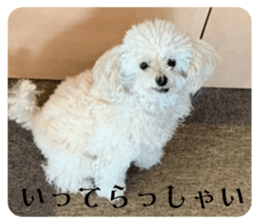 535377851