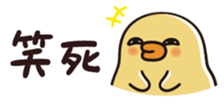 535403054