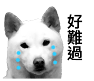 535415015
