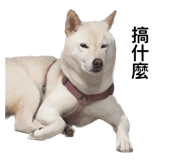 535415016