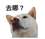 535415019