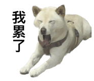 535415020