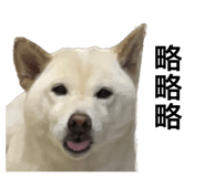 535415021