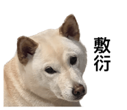 535415022