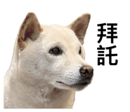 535415023
