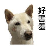 535415024