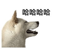 535415025