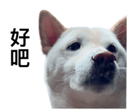 535415026