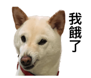 535415027