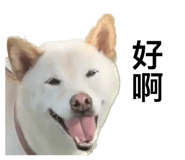 535415029