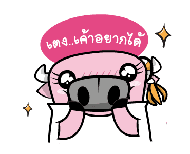 ติดลม ช้อปกระจาย รูปที่ 4