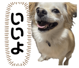 535434314