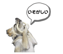 535434330