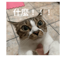 535444654
