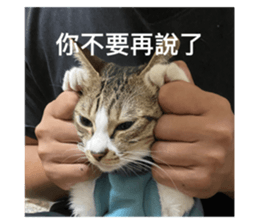 535444655