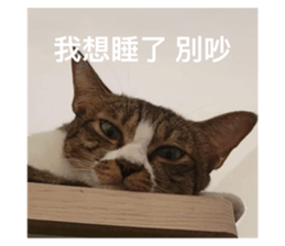 535444657