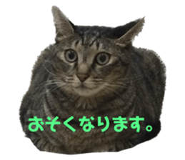 535445808
