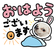 535447126