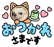 535447128