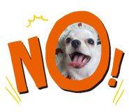 535447135