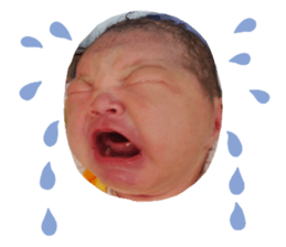 535447531