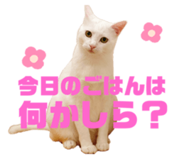 535447834