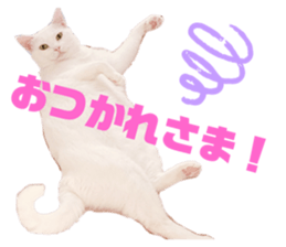 535447840